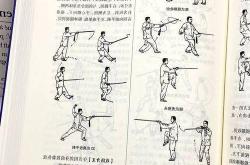 保定武术：从庙堂到江湖，破圈之路如何走