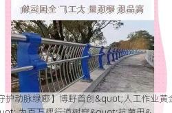 【守护动脉绿廊】博野首创"人工作业黄金周" 为百万棵行道树穿"抗菌甲"